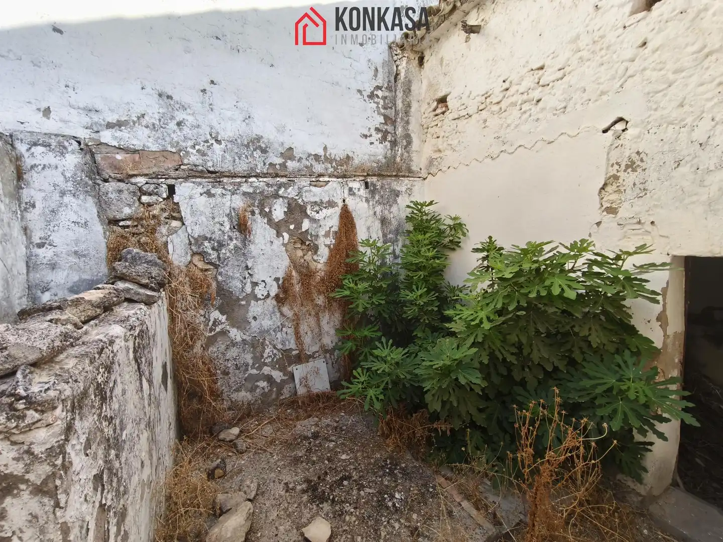 House for sale in Bornos, imagen 7