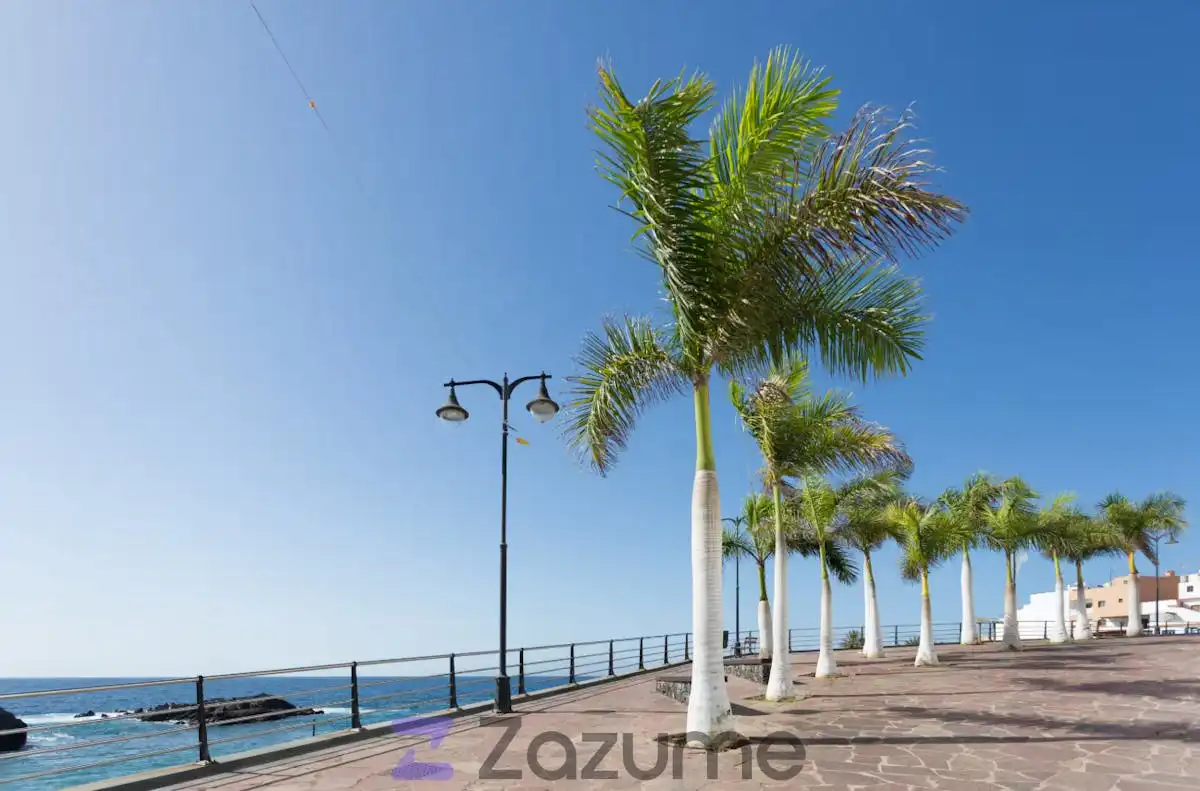 Exterior view of Flat for rent in Guía de Isora  with Air Conditioner, Heating and Terrace