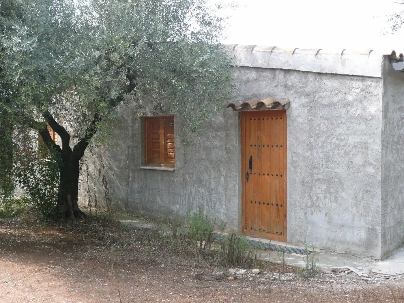 Vista exterior de Terreno en venta en Ulldecona