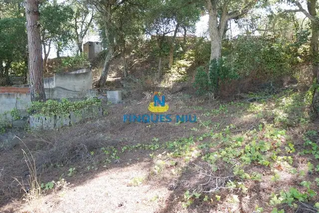 Terreno residencial en venta en Carrer Eucaliptus, imagen 10