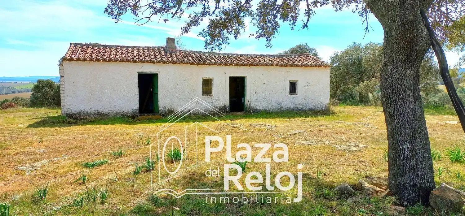 Terreno rustico in vendita a CERVANTES 0, imagen 24