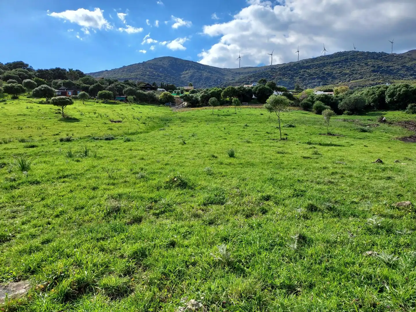 Terreni e lotti in vendita a Tarifa ciudad, imagen 19