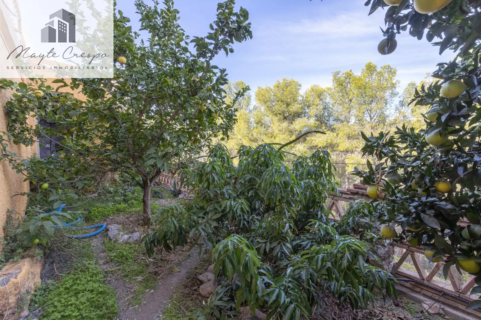 Chalet con piscina en venta en Almuñecar centro, imagen 50