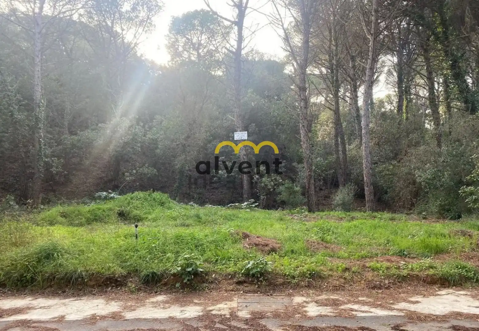 Rural land for sale in Manxa, imagen 3