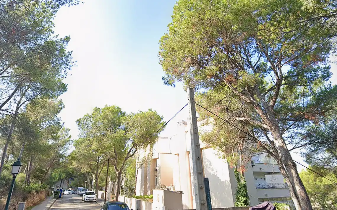 Business premises for sale in Llevant, imagen 3