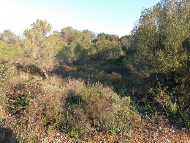 Terreno residencial en Venta en Puntiró