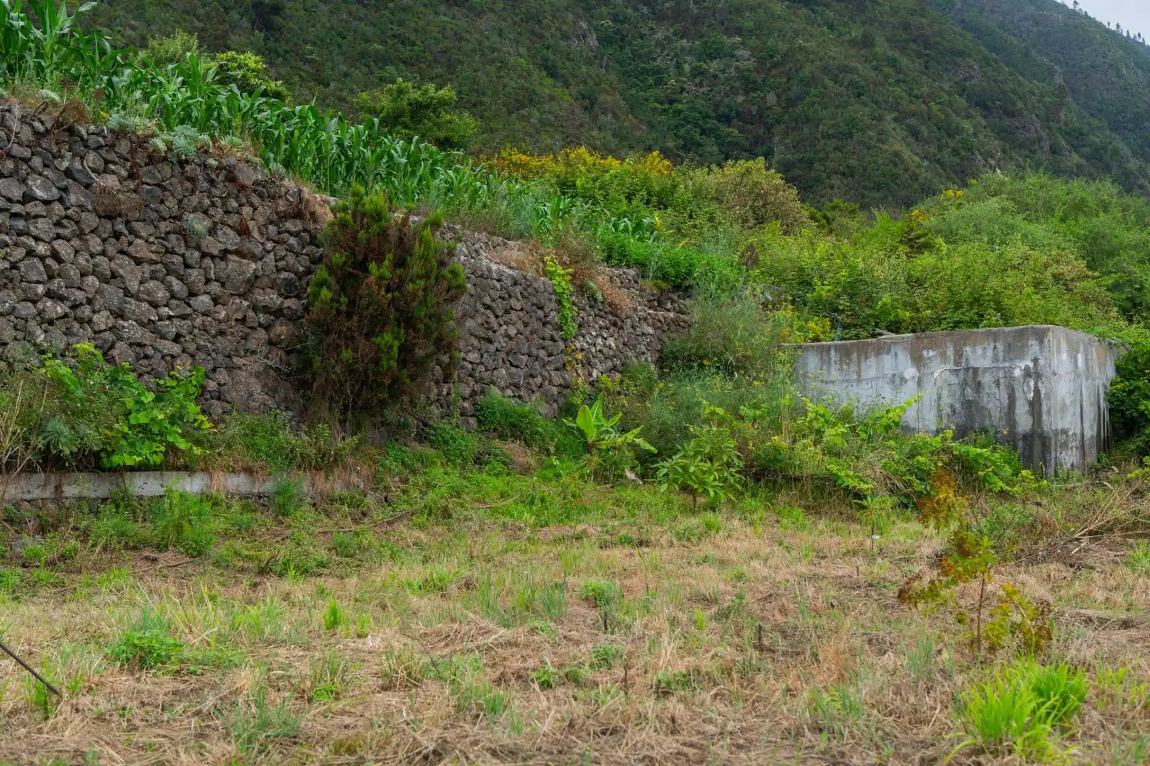 Terreno rustico in vendita a Las Cuevas - Los Gómez, imagen 11
