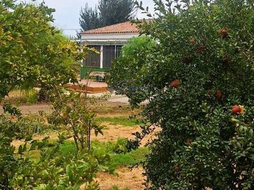 Casa con piscina en venta en Gibraleón