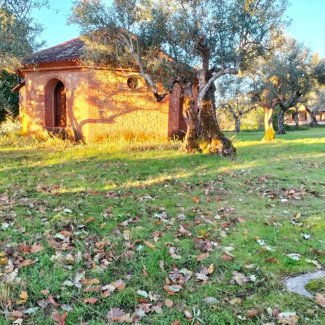 Terreni e lotti in vendita a Villanueva de la Vera, imagen 48