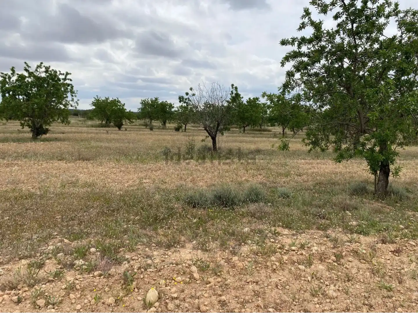 Terrain rustique à vendre à Carrer dels Teixidors, imagen 5