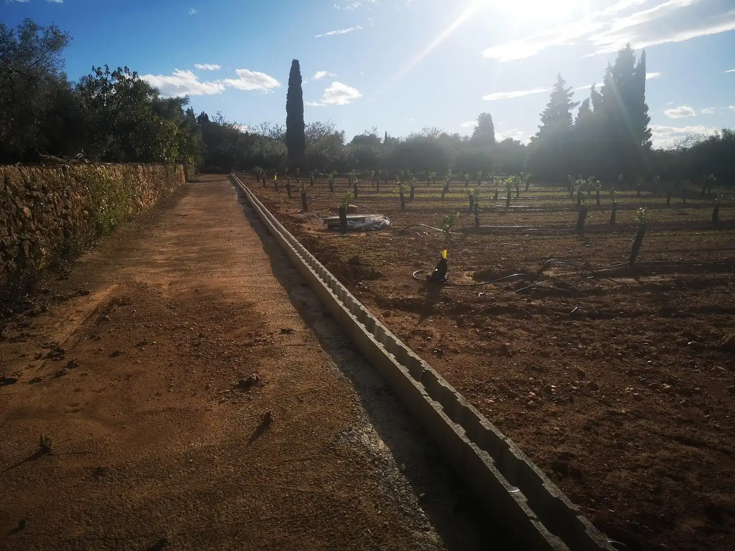 Terreno residenziale in vendita a Ulldecona, imagen 8