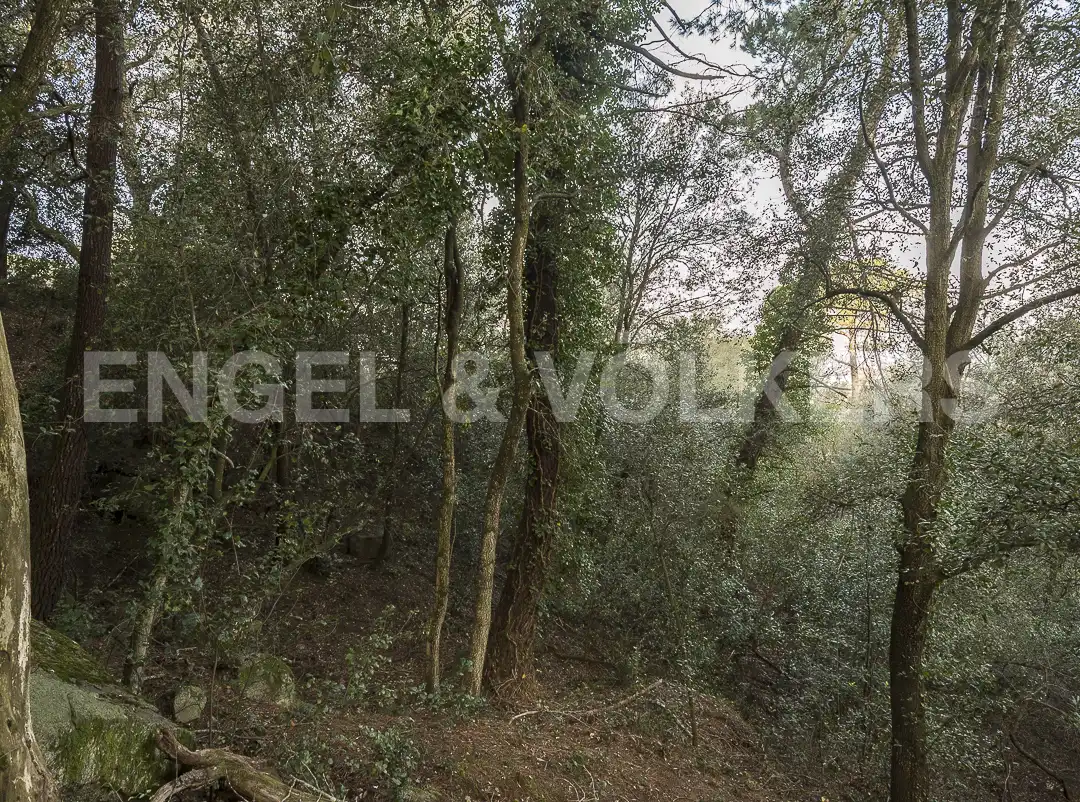 Terreno residencial en venta en Vallgorguina, imagen 10