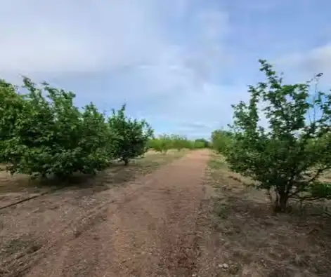 Terreno rustico in vendita a Carrer de França 3