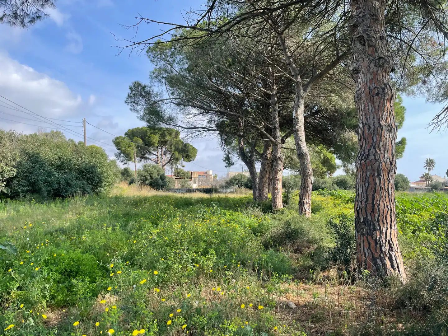 Residential zum Verkauf in Cambrils