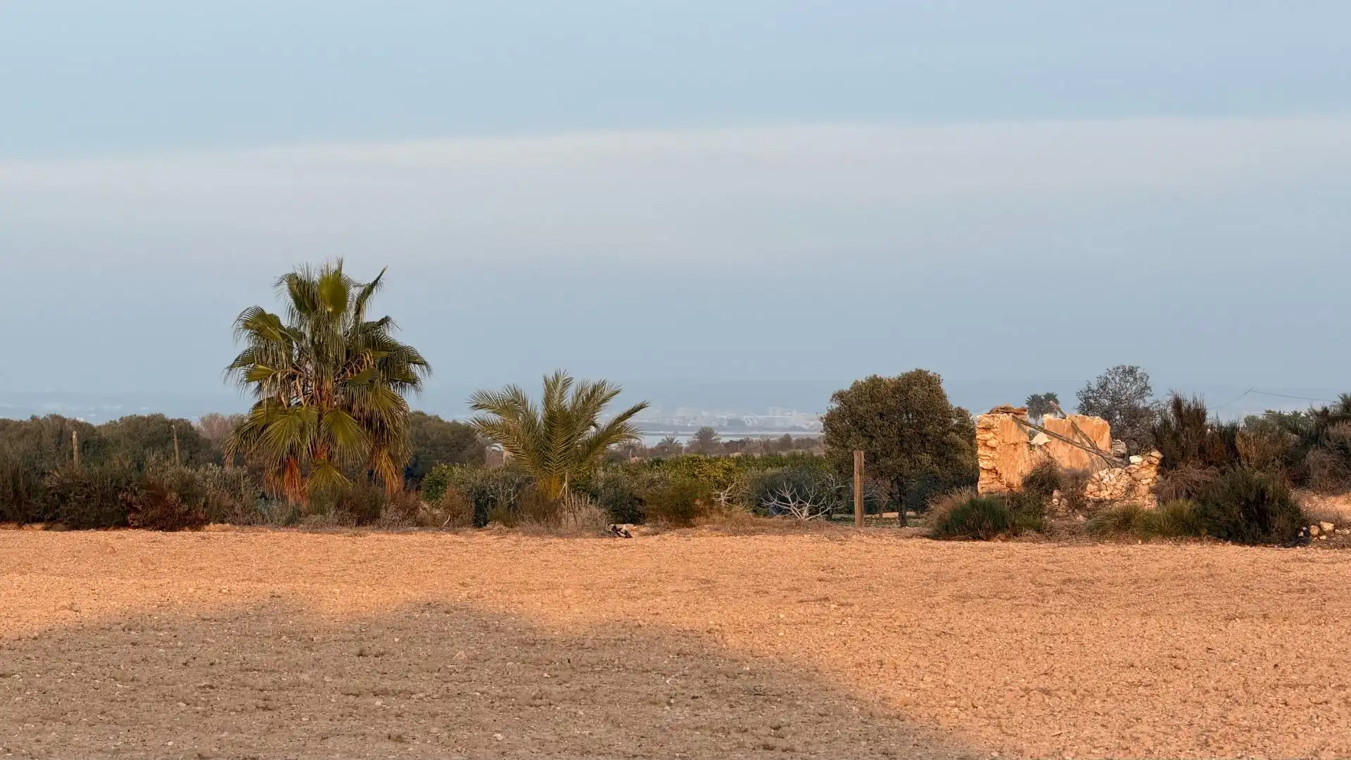 Terrain rustique à vendre à La Marina, imagen 3