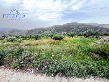 Terreno rústico en venta en Vélez de Benaudalla