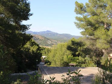 Terreni e lotti in vendita a Del Rosal 100