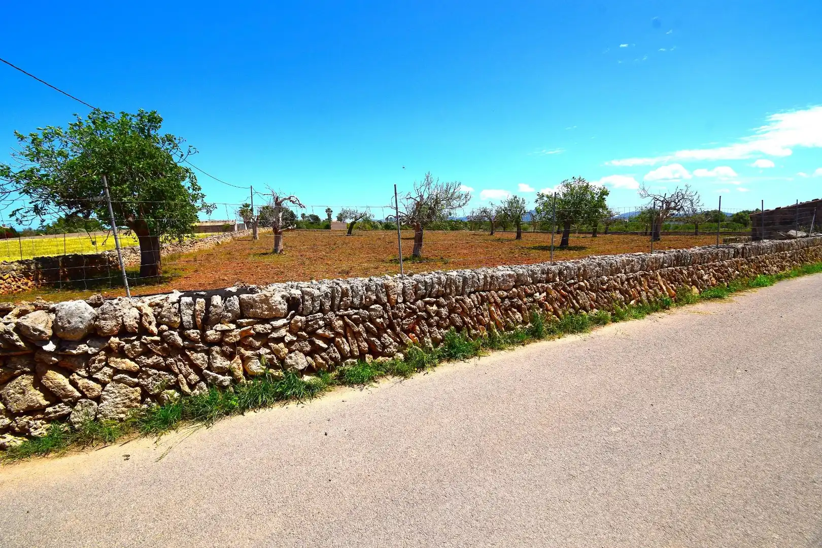 Residential land for sale in Santa Margalida Poble, imagen 11