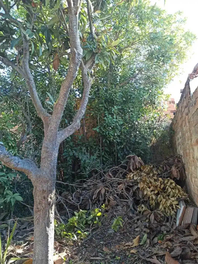 Jardín de Terreno en venta en Málaga