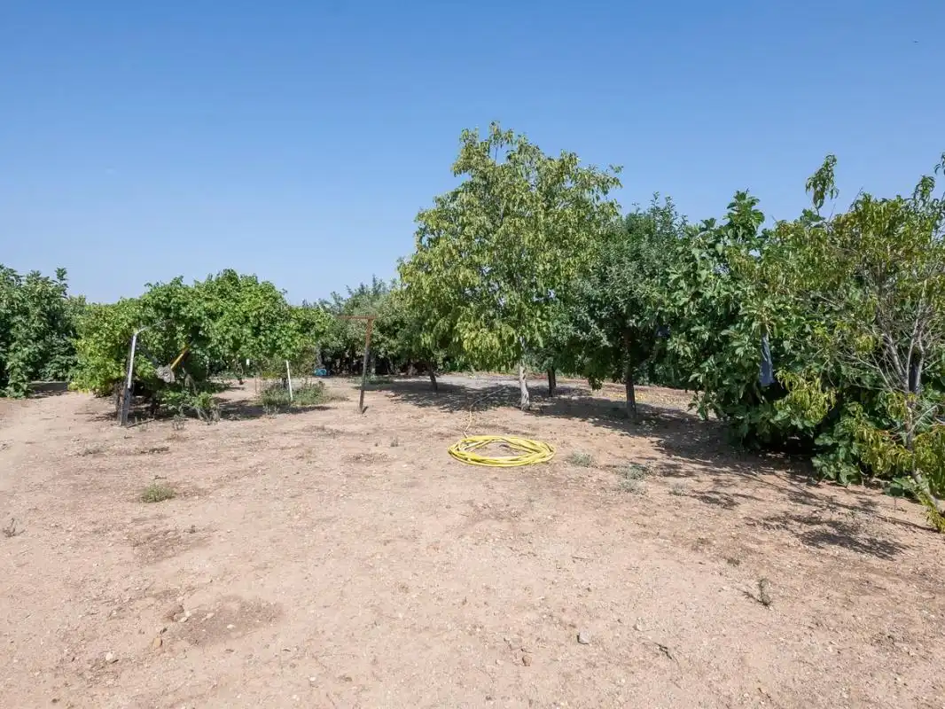 Xalet amb terrassa en venda a Cam. Viejo del Casar, imagen 27