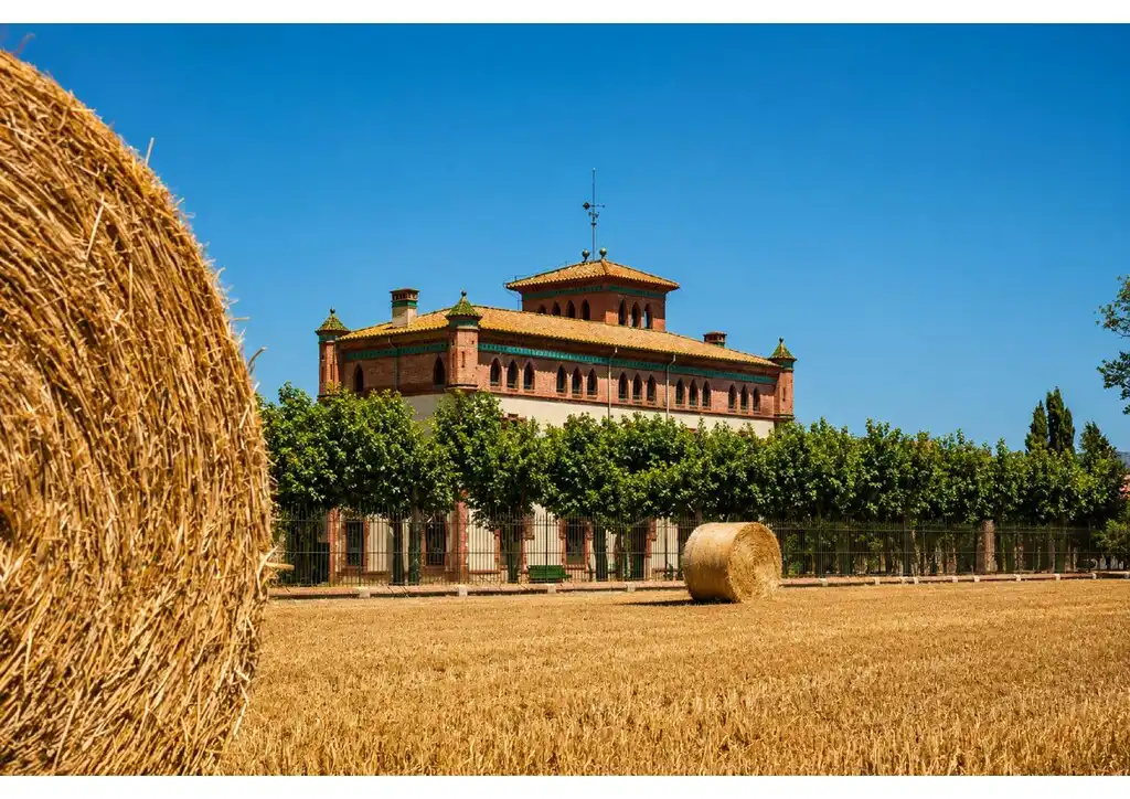 Vista exterior de Finca rústica en venta en Castelló d'Empúries con Terraza y Balcón