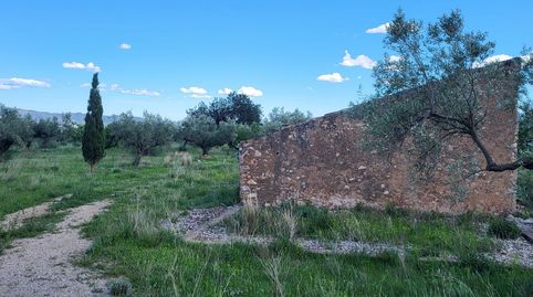 Finca Rúst. en venta en Roquetes., imagen 4