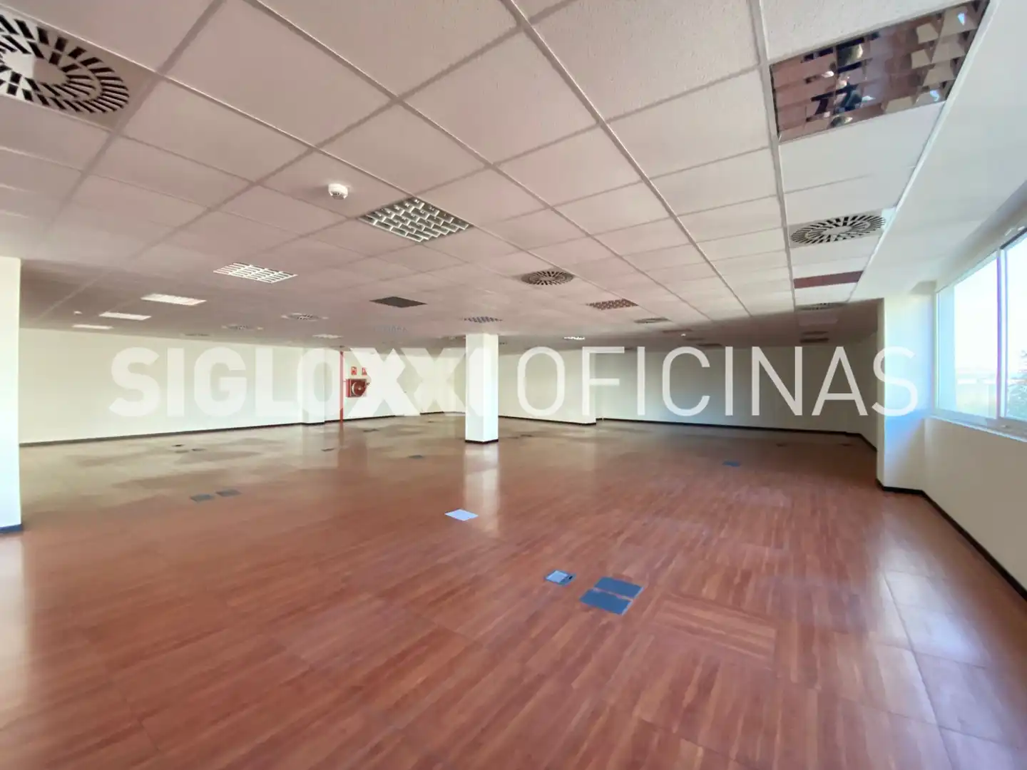 Oficina de lloguer a PLOM, imagen 36