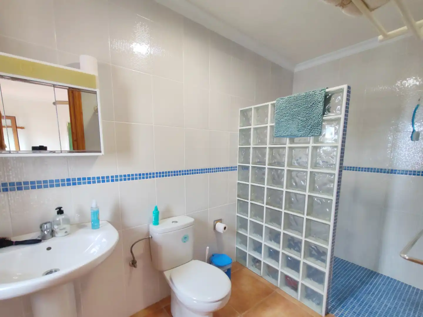 Baño de Casa o chalet en venta en Huércal-Overa con Aire acondicionado, Jardín privado y Terraza