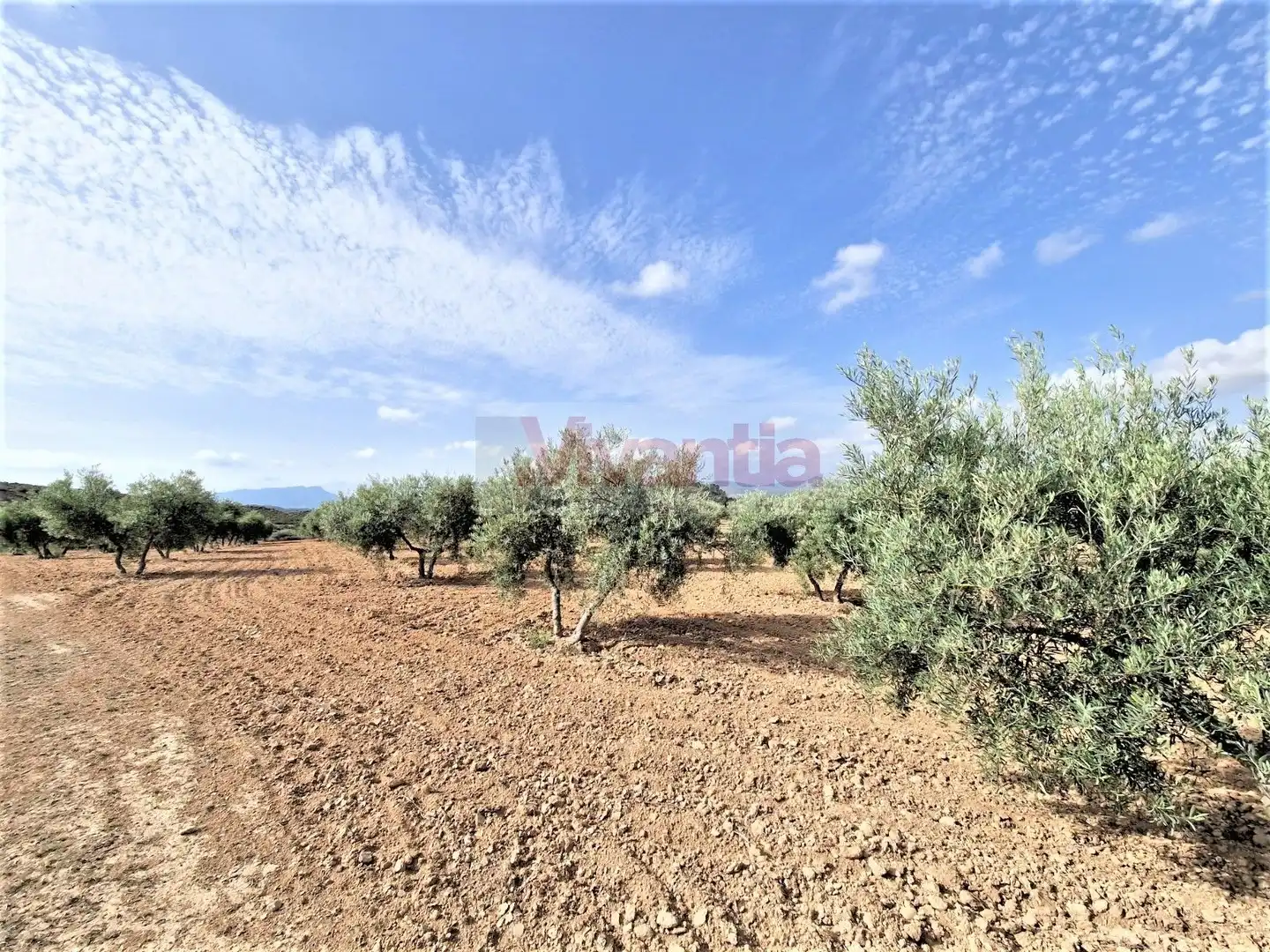 Casa o chalet en venta en Lorca