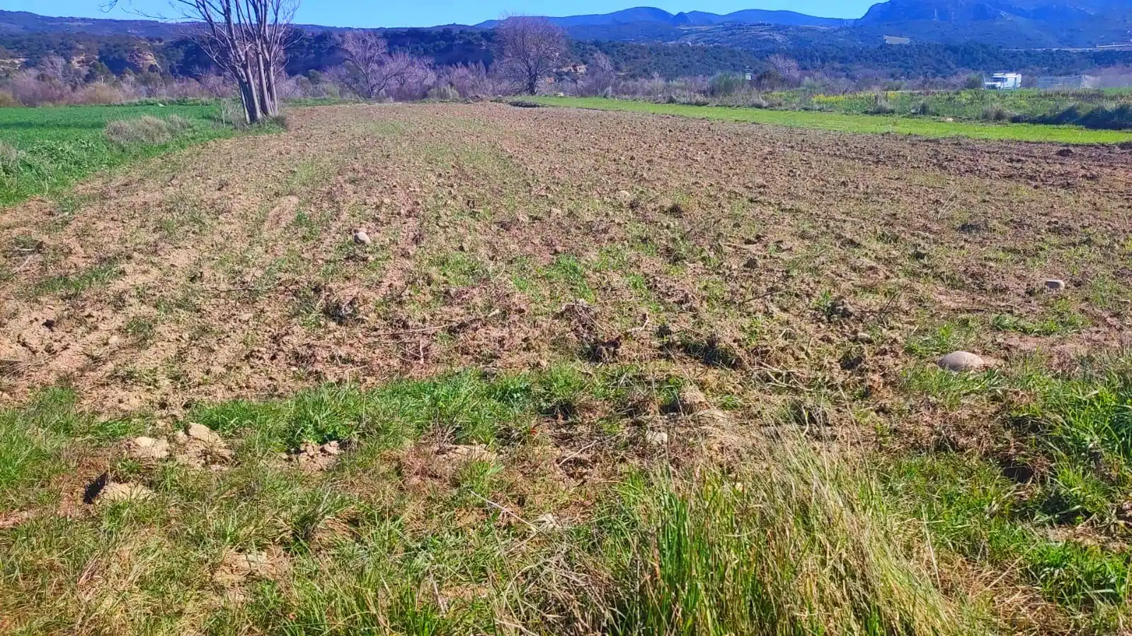 Terreni e lotti in vendita a El Grado