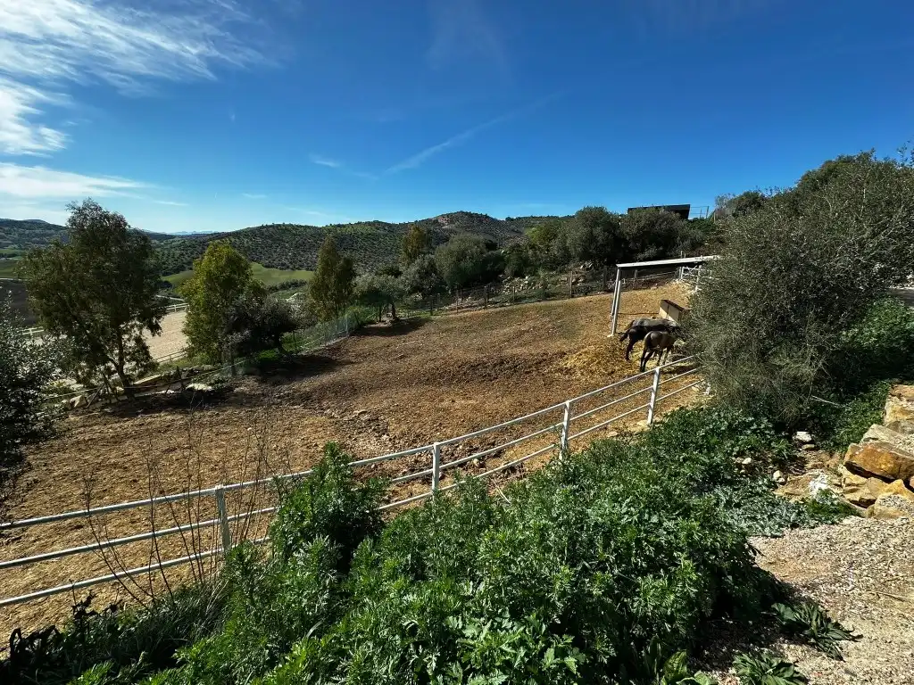 Casa rústica en venda a Almogía, imagen 42