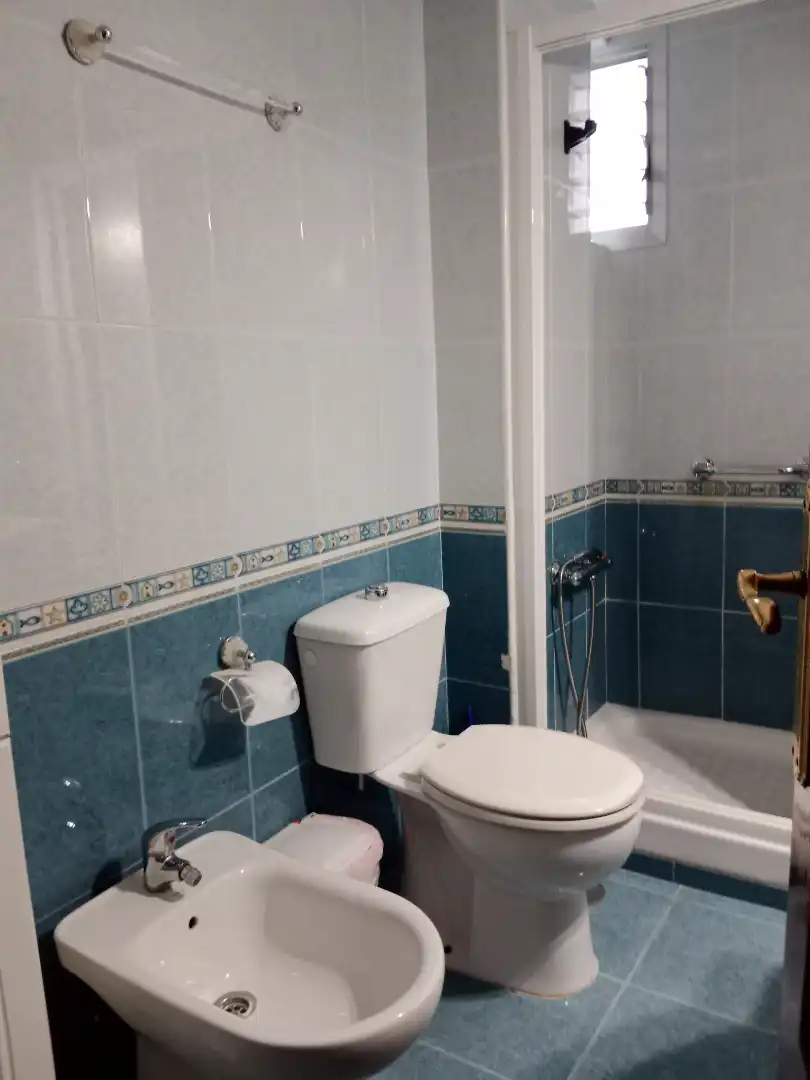 Bathroom of Flat for rent in Sevilla  with Air Conditioner, Heating and Furnished