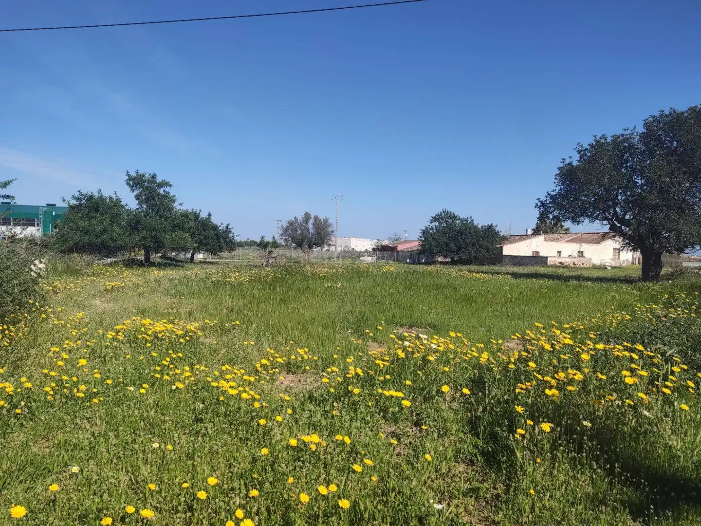 Finca rústica en venda en Cartagena