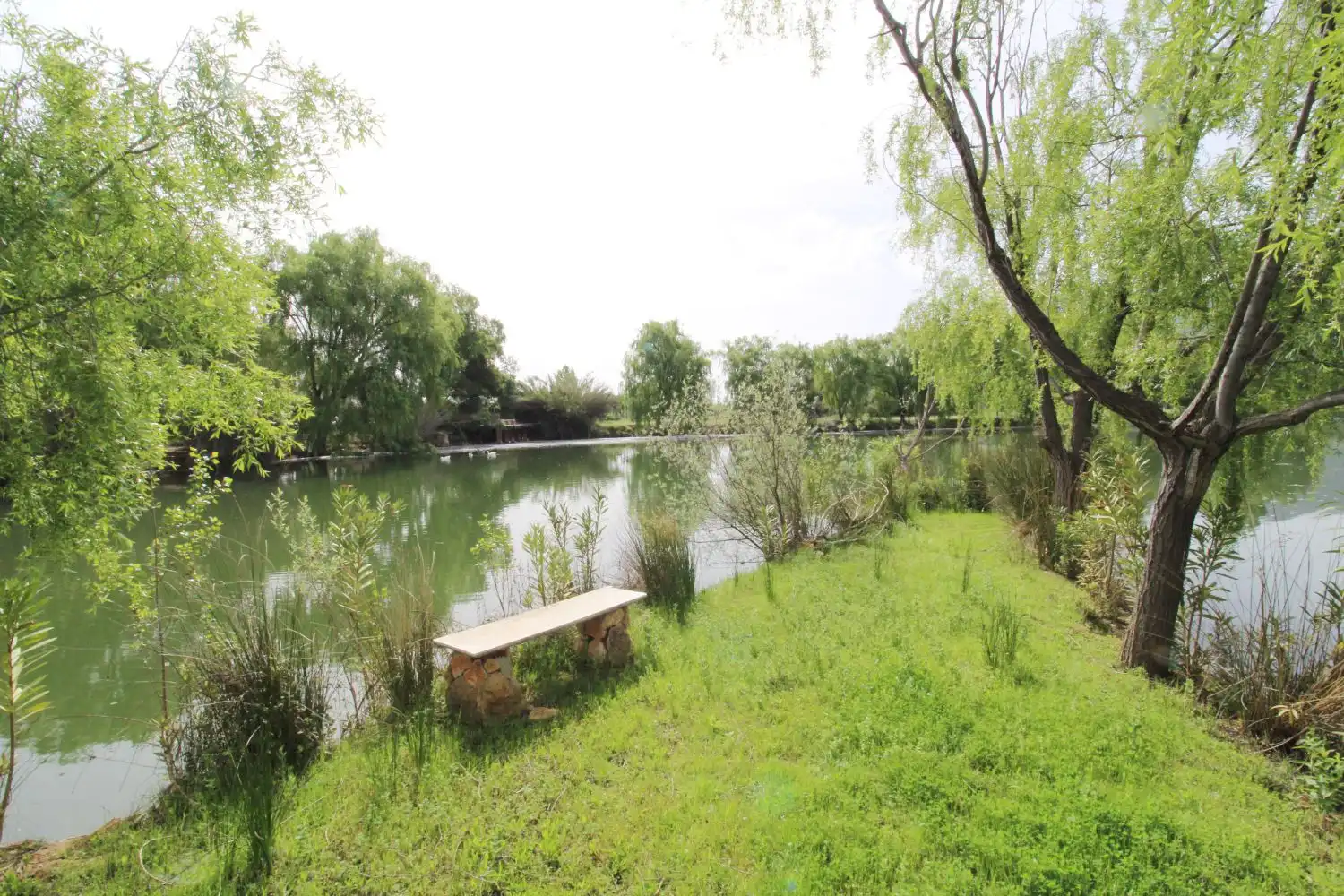 Chalet en venta en Malagón, imagen 20