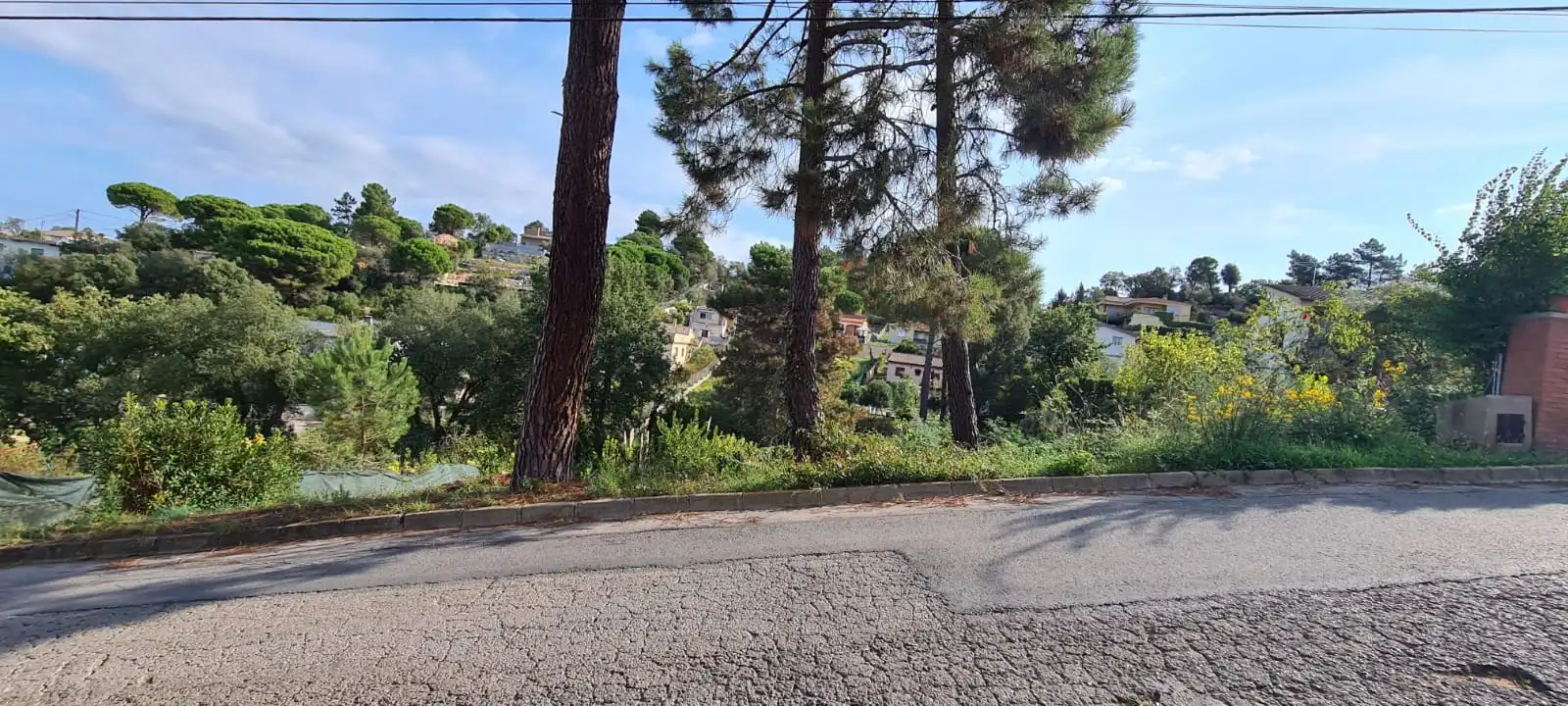 Terrain rustique à vendre à C/ St Antoni, imagen 6