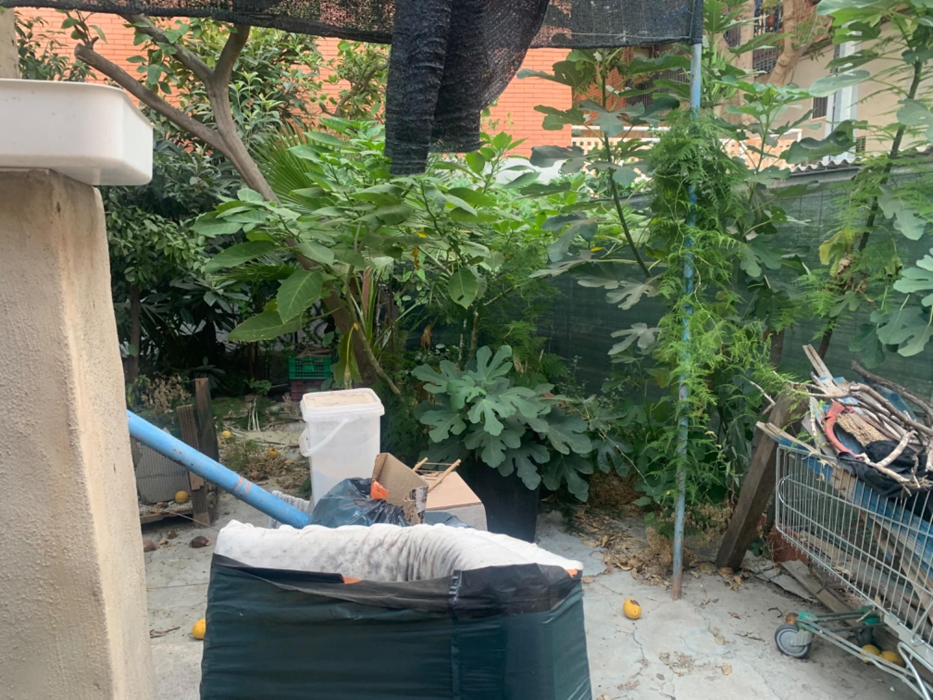 Jardí de Casa o xalet en venda en  Murcia Capital amb Jardí privat, Terrassa i Traster