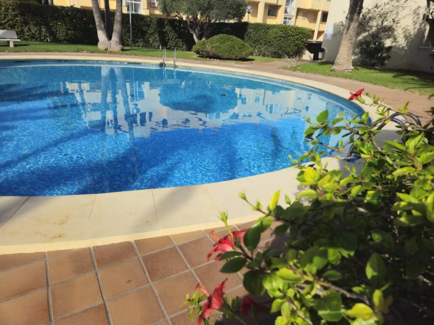 Attique avec piscine à vendre à Las Marinas / Les Marines, imagen 4