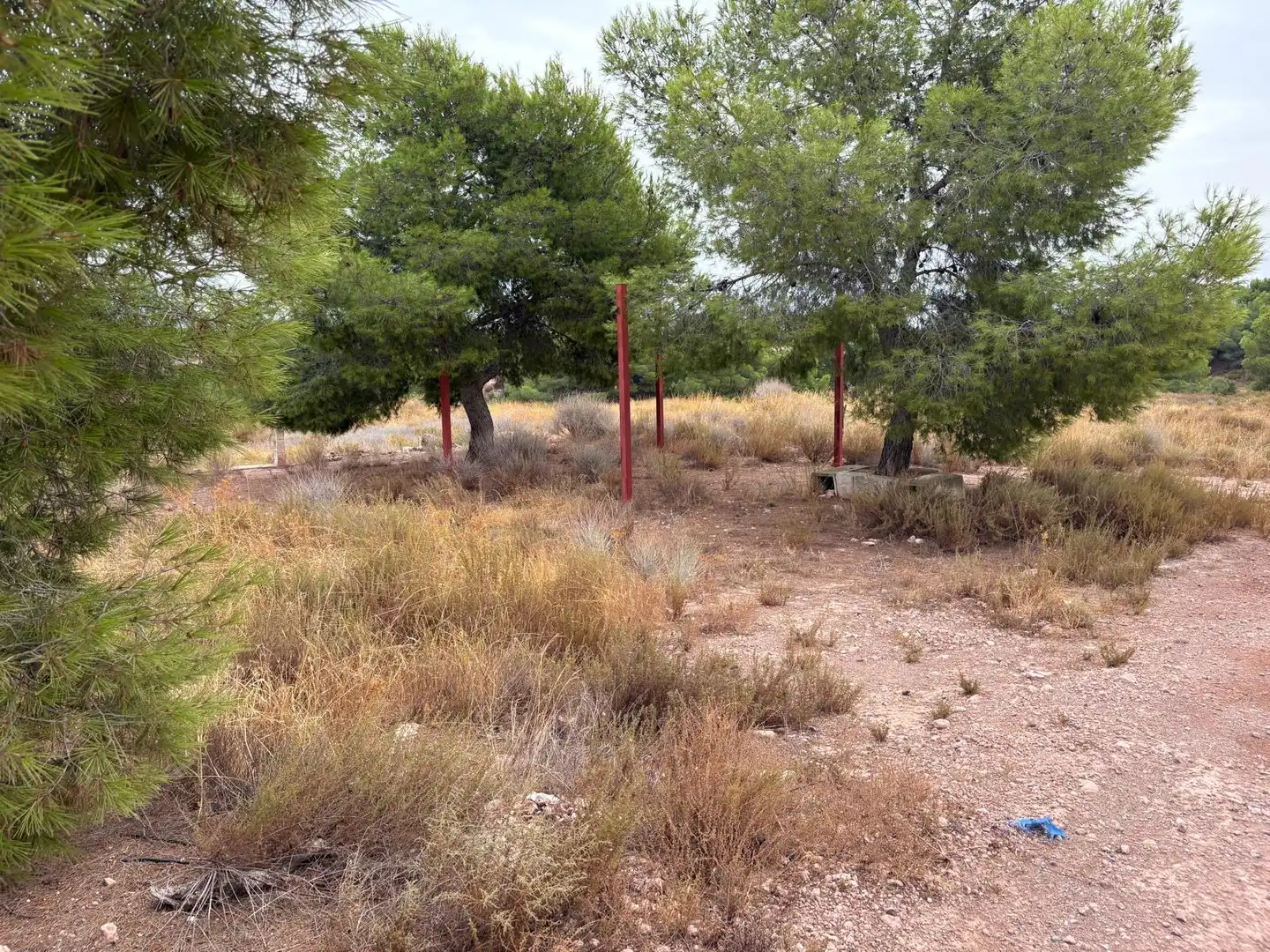 Terreni e lotti in vendita a Alhama de Murcia ciudad, imagen 3