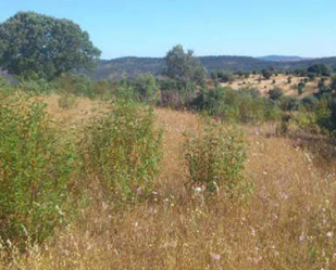 Land for sale in Herrera de Alcántara