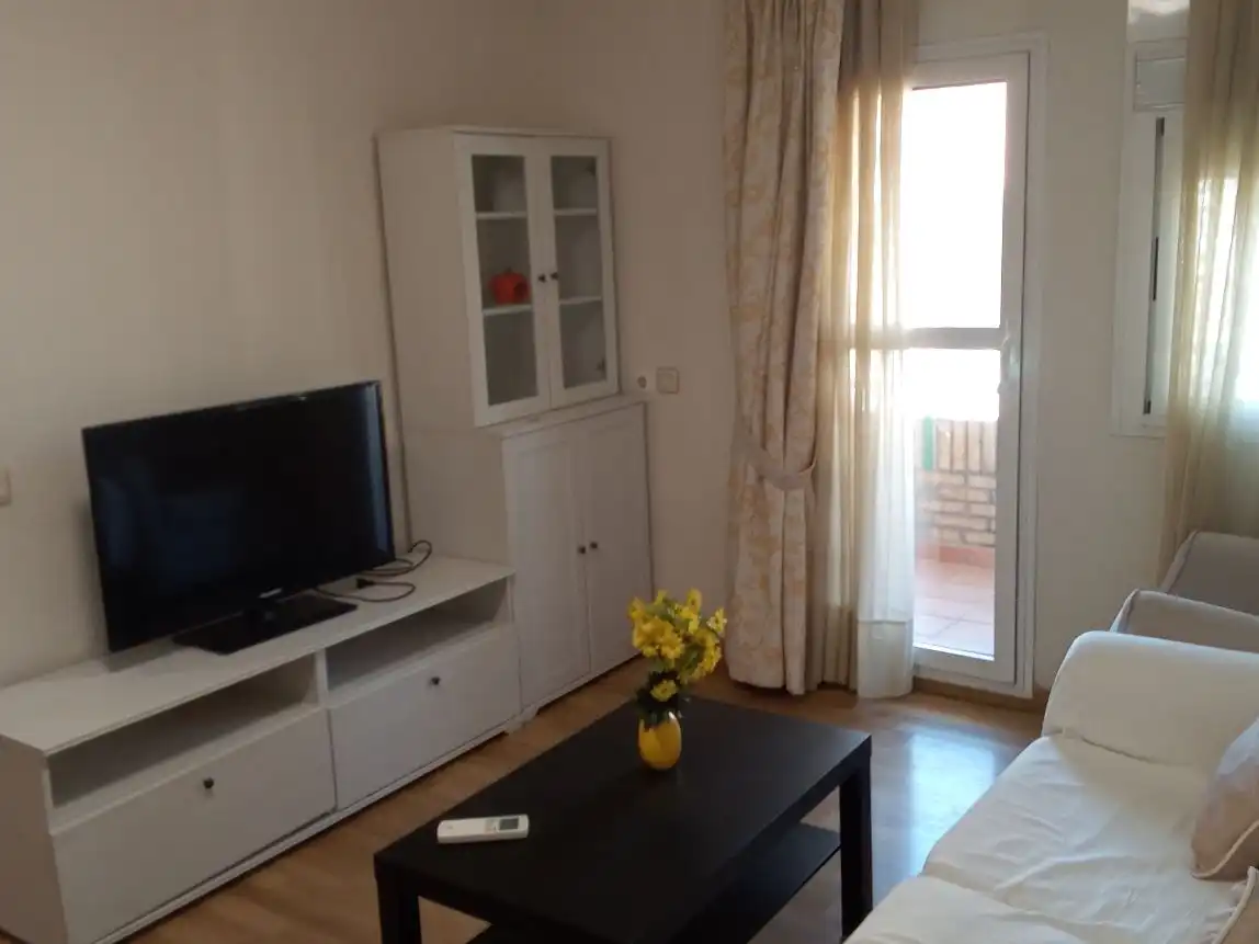 Sala d'estar de Pis de lloguer en Sur