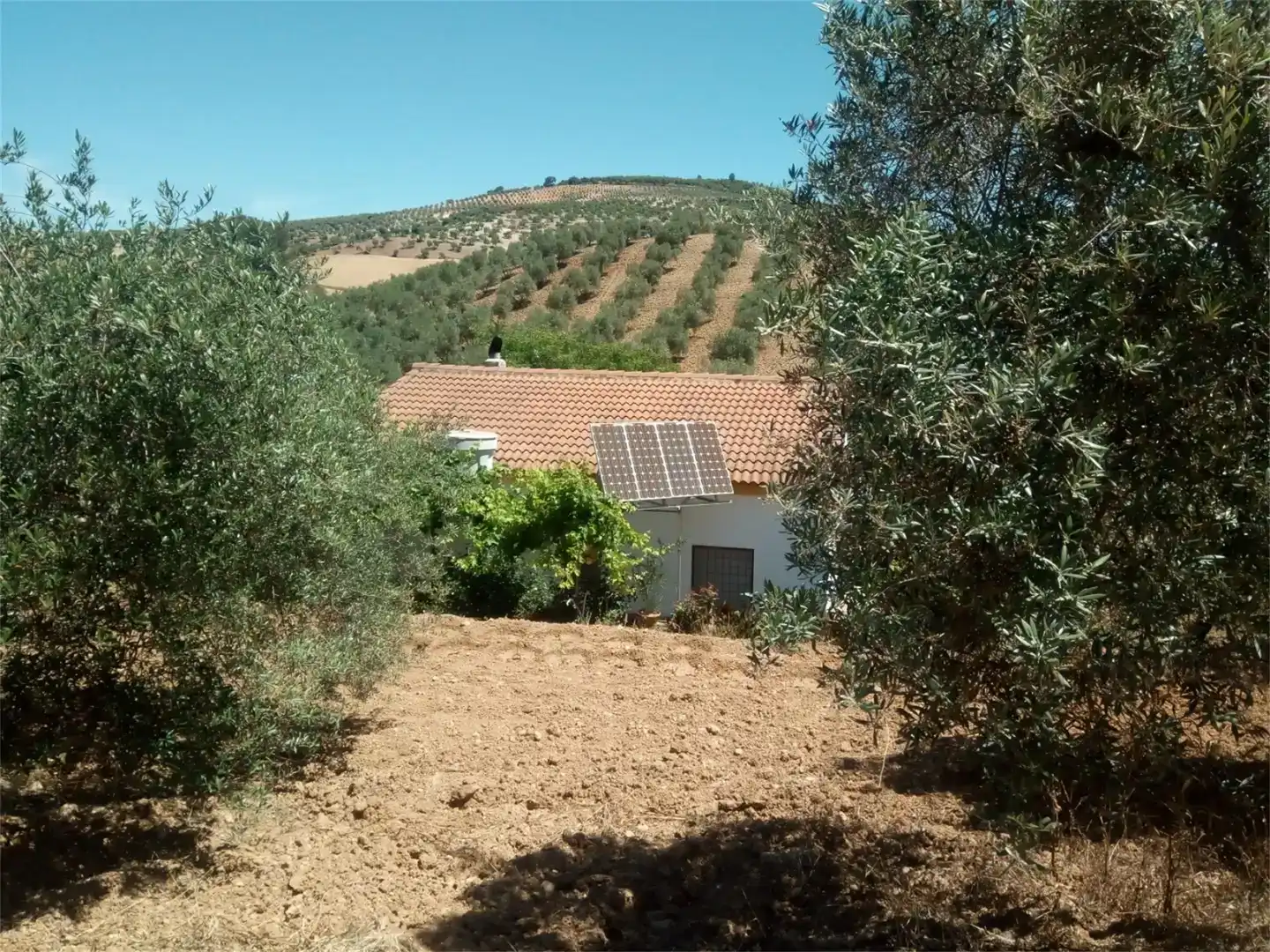 Terreno en venta en Montellano