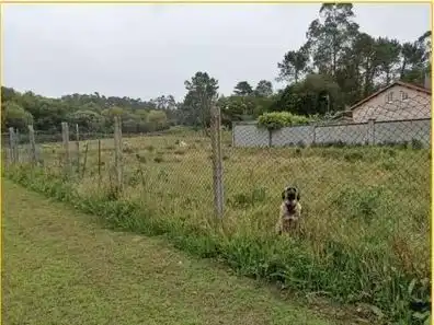 Rural land for sale in Carballo, imagen 5
