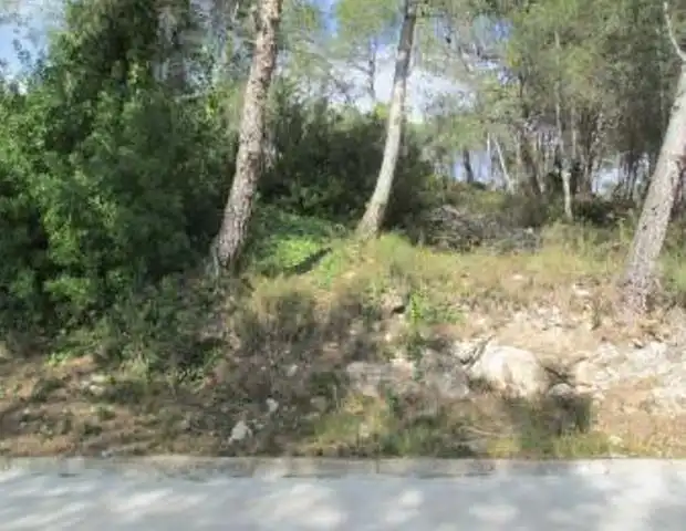 Terrain rustique à vendre à SELVA MARAVILLAS, imagen 3