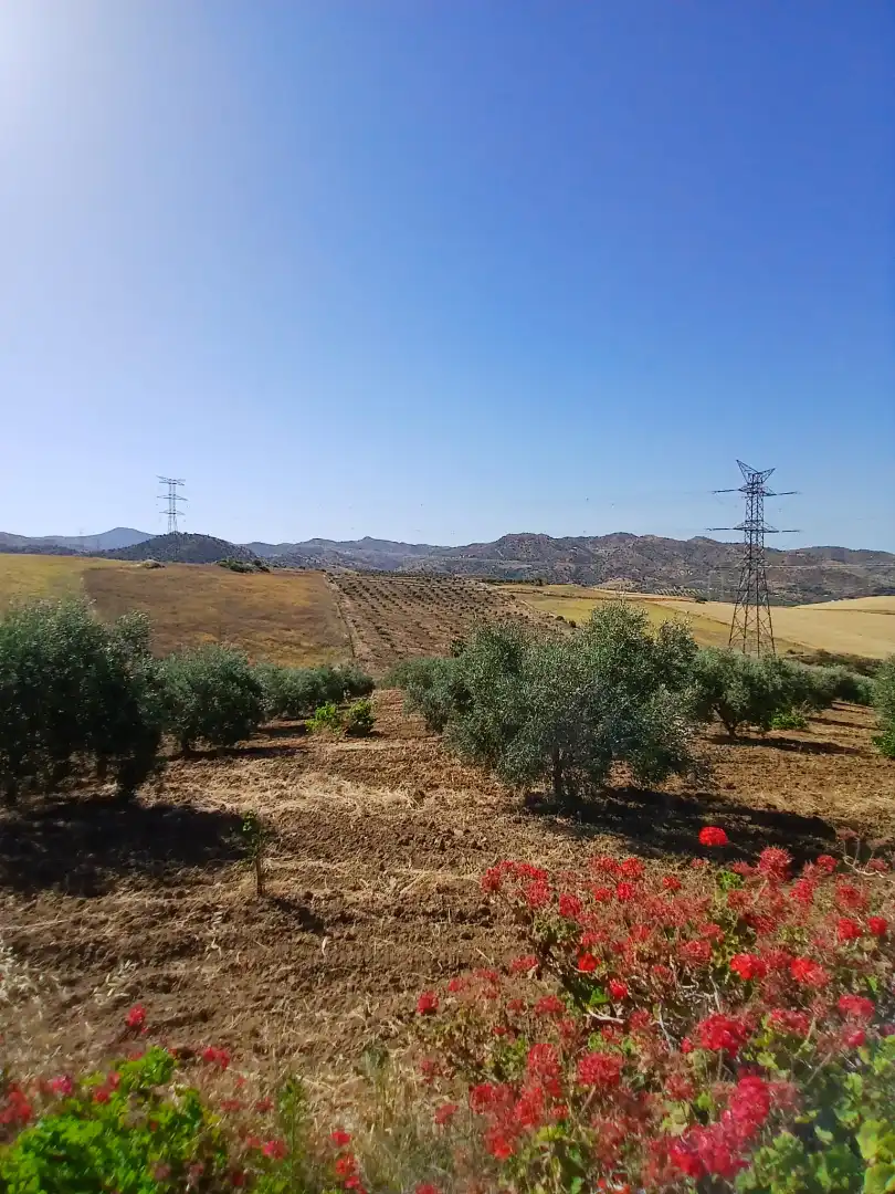 Terreno en venta en N/A, Álora