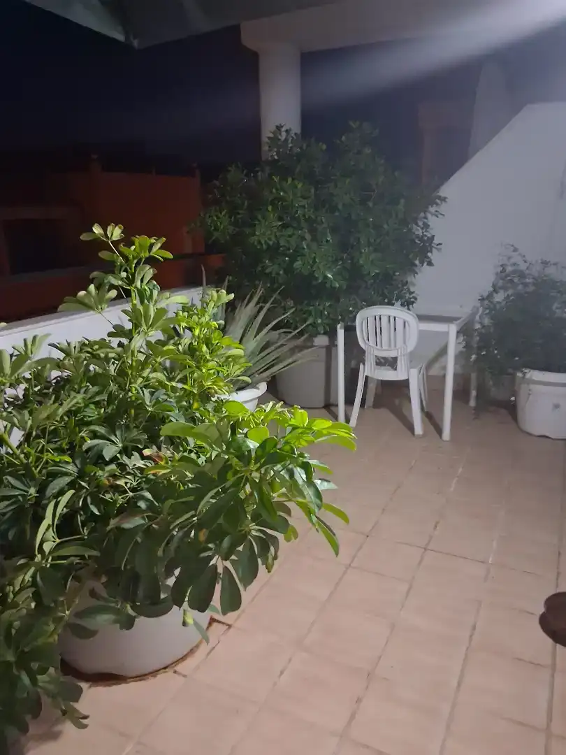 Terrassa de Àtic de lloguer en Vera amb Aire condicionat i Traster