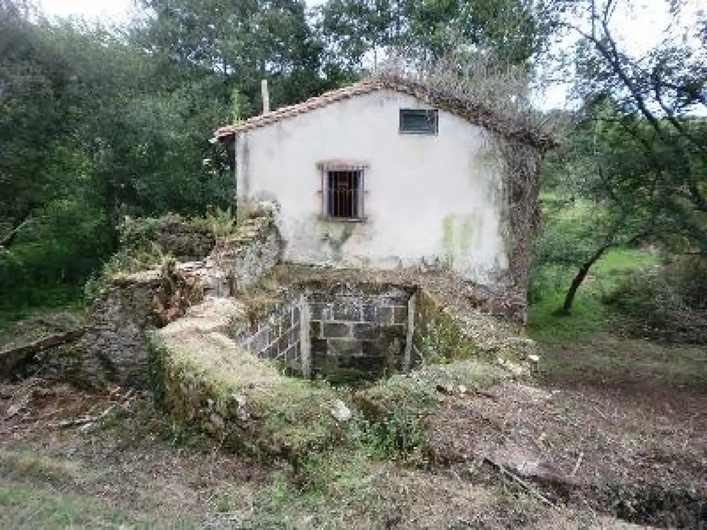 Exterior view of Houses for sale in Peñamellera Baja