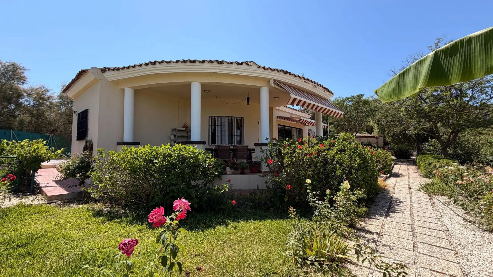 Finca rústica en venta en Centro