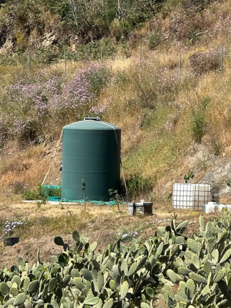Terreni e lotti in vendita a Vélez-Málaga ciudad, imagen 9