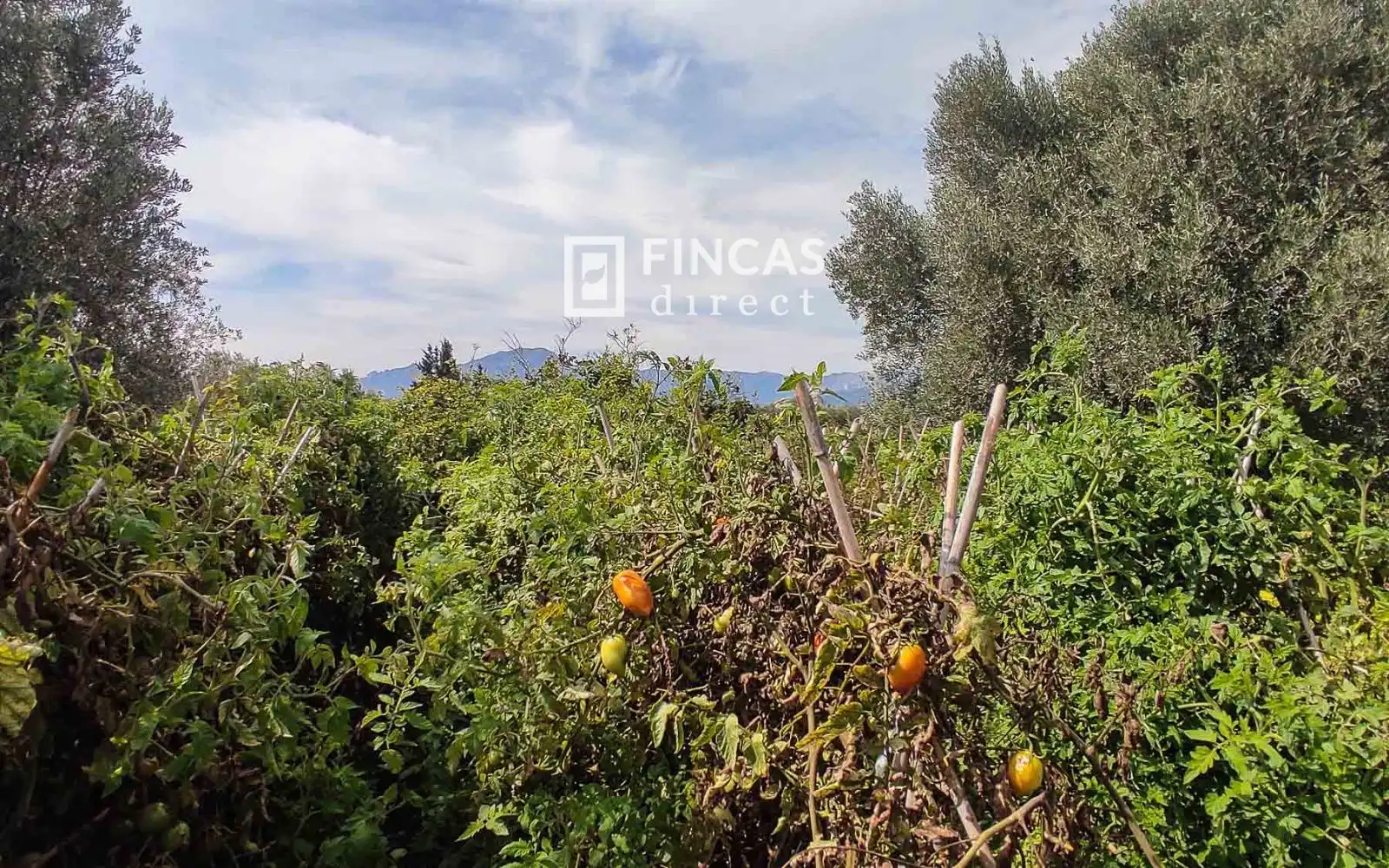 Country homes for sale in Tortosa  with Heating and Furnished