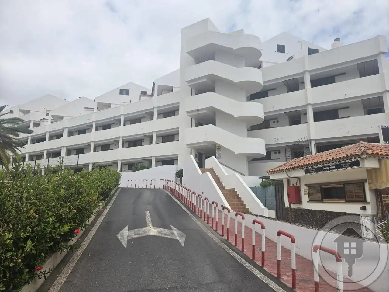 Estudi en venda a Juan Carlos I, Los Cristianos